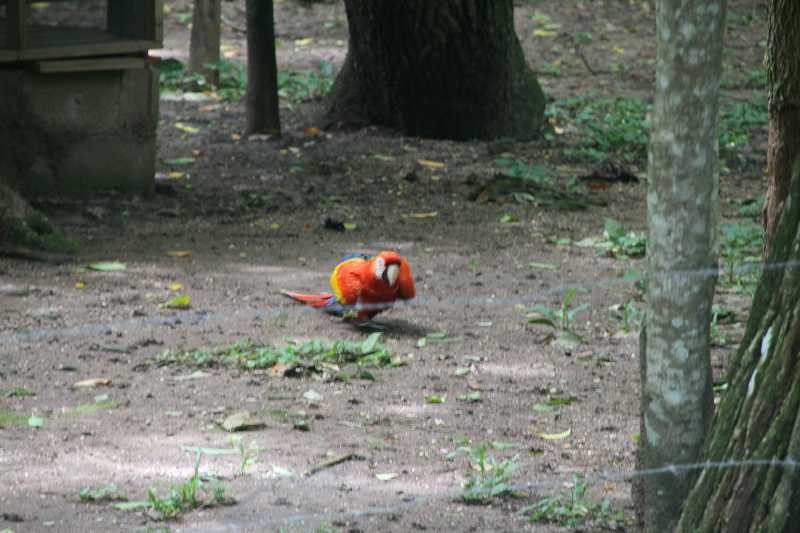 Mexico & Guatemala 2010 - 0857